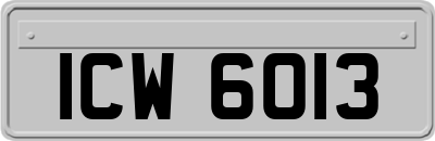 ICW6013