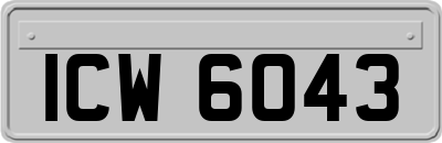 ICW6043