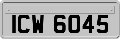 ICW6045