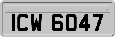 ICW6047