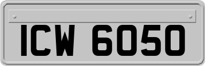 ICW6050