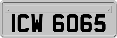 ICW6065