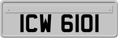 ICW6101