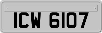 ICW6107