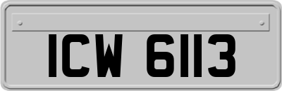ICW6113