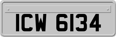 ICW6134