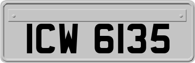 ICW6135