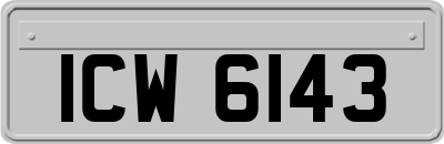 ICW6143