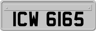 ICW6165