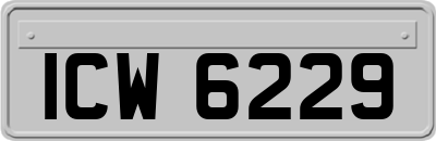 ICW6229