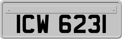 ICW6231