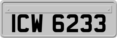 ICW6233