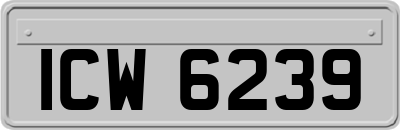 ICW6239