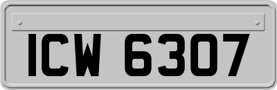 ICW6307
