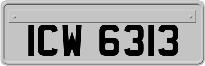 ICW6313