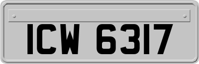 ICW6317