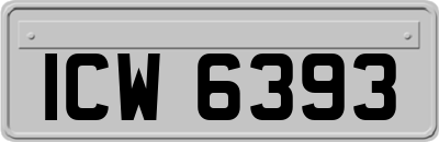 ICW6393