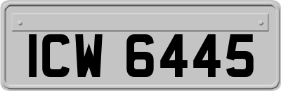 ICW6445
