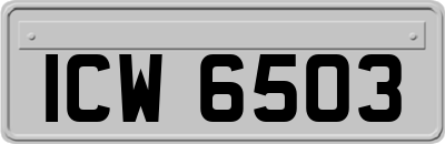 ICW6503