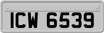 ICW6539