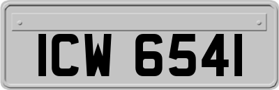 ICW6541