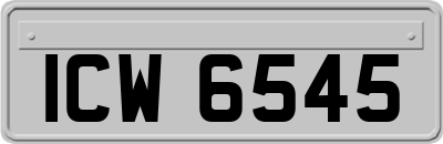 ICW6545