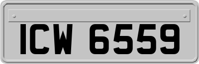 ICW6559