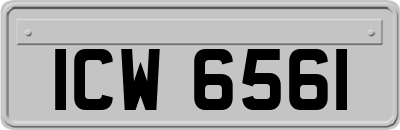 ICW6561