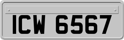 ICW6567