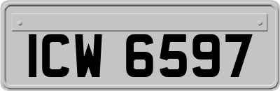 ICW6597