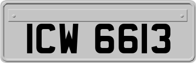 ICW6613