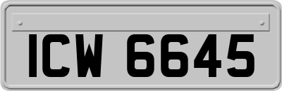 ICW6645