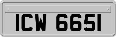 ICW6651