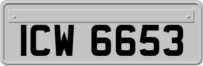 ICW6653
