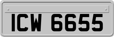 ICW6655