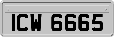 ICW6665