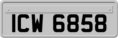 ICW6858