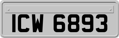 ICW6893