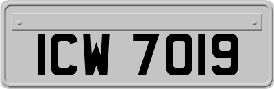ICW7019