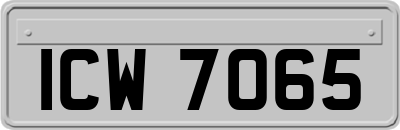 ICW7065