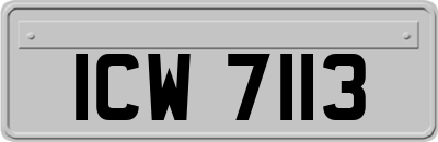 ICW7113