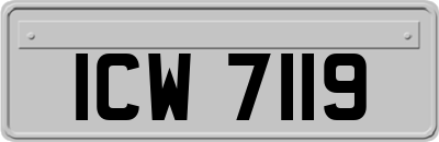 ICW7119
