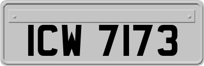 ICW7173