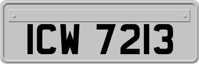ICW7213