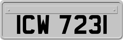 ICW7231