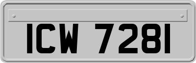 ICW7281