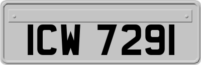 ICW7291