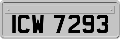 ICW7293