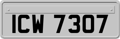 ICW7307