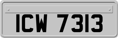 ICW7313